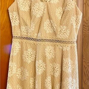 Blue Rain Cream Lace Midi Dress